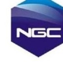 Nigerian German Chemicals (NGC)